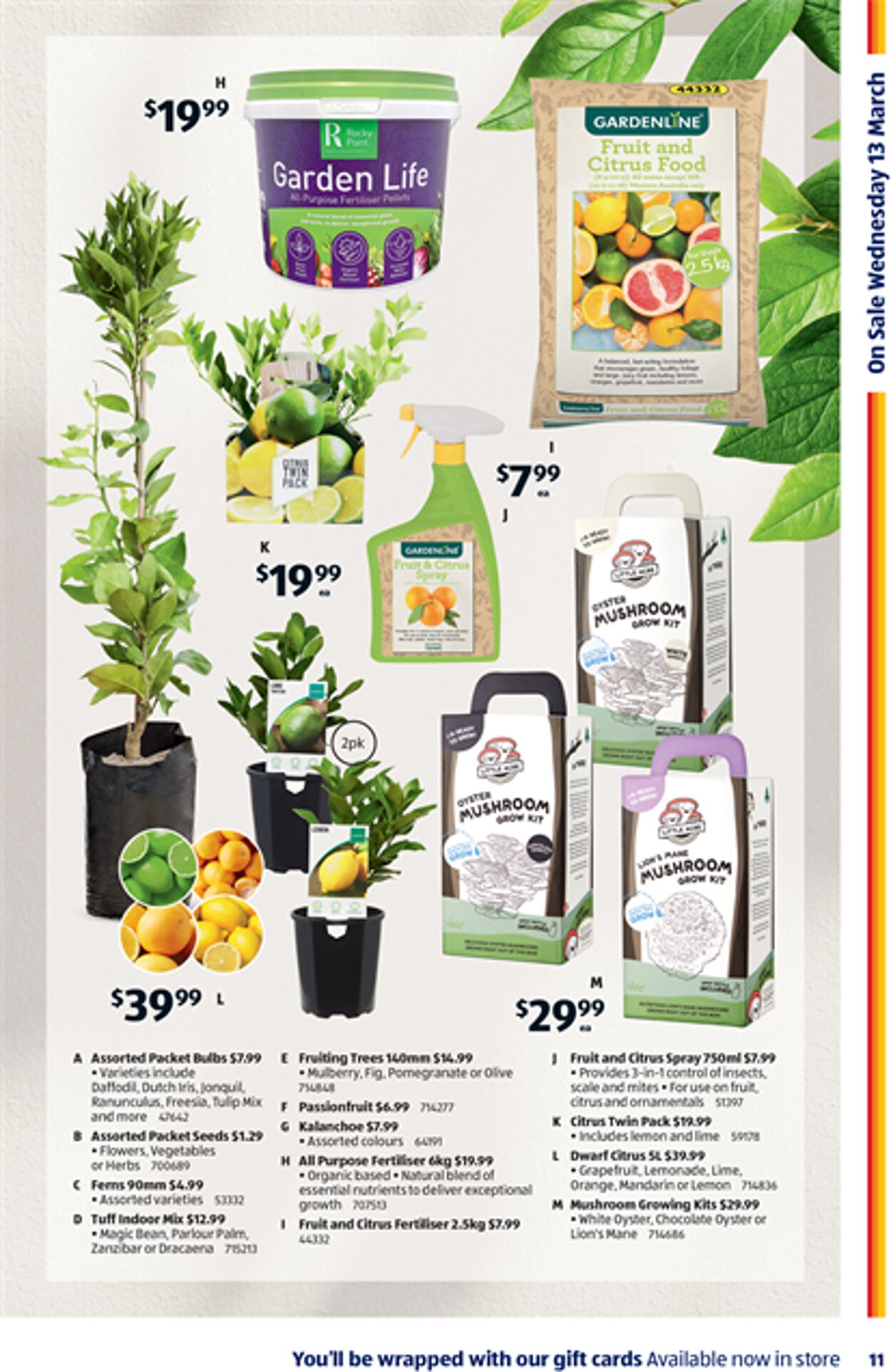 Catalogue Aldi 06.03.2024 - 20.03.2024