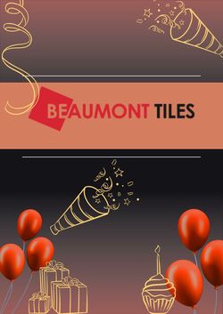 Catalogue Beaumont Tiles 30.11.2022 - 28.02.2023