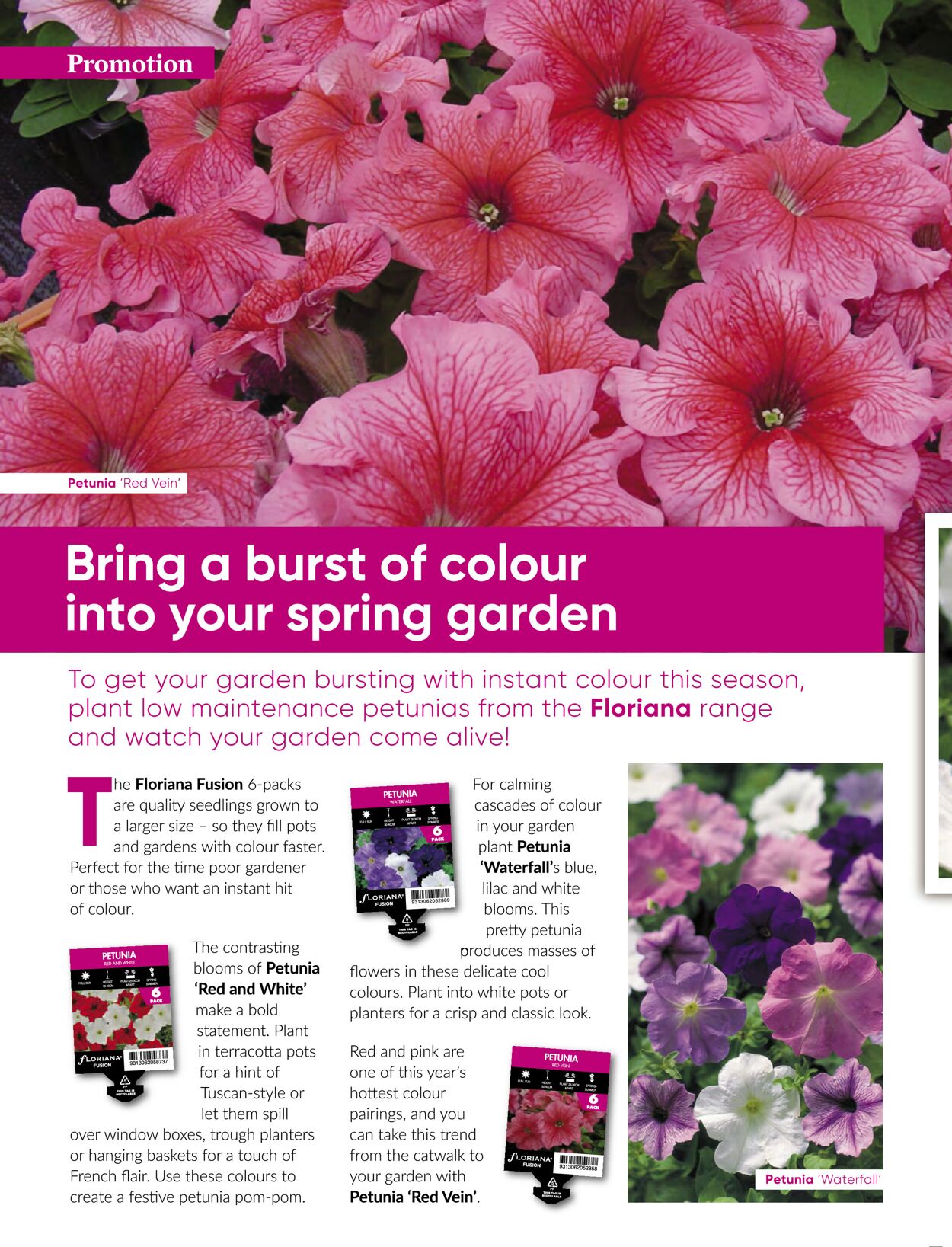 Catalogue Bunnings Warehouse 01.11.2021 - 30.11.2021