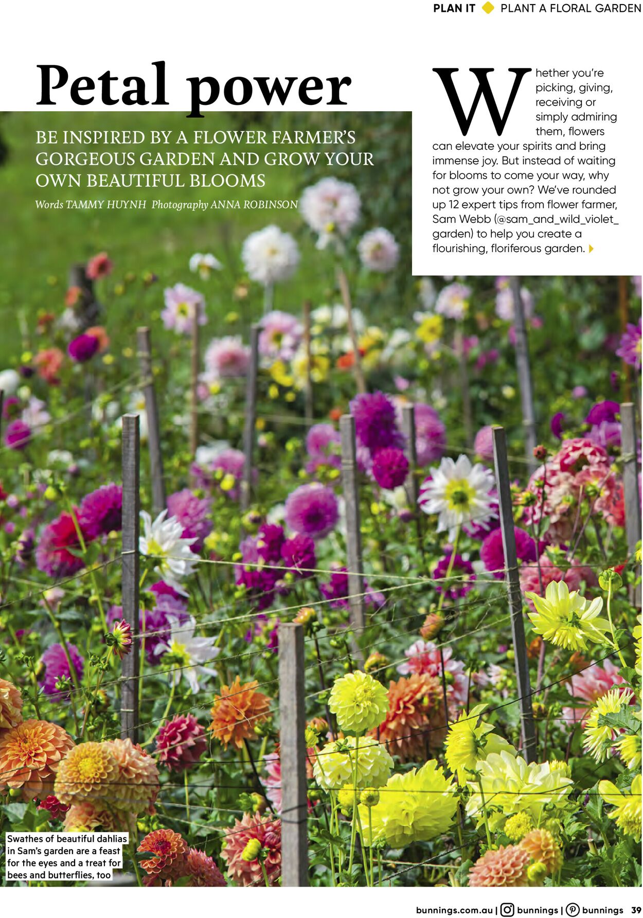 Catalogue Bunnings Warehouse 01.11.2021 - 30.11.2021