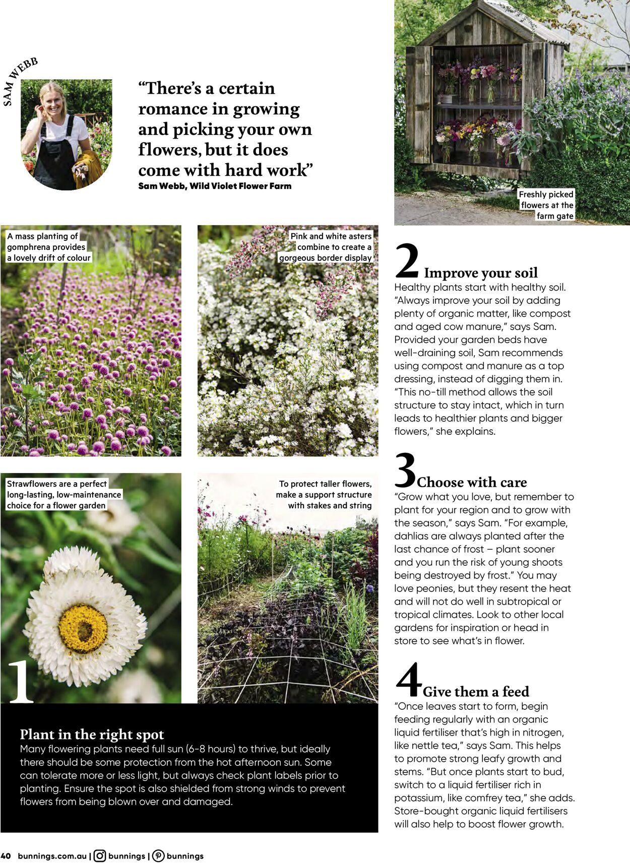 Catalogue Bunnings Warehouse 01.11.2021 - 30.11.2021