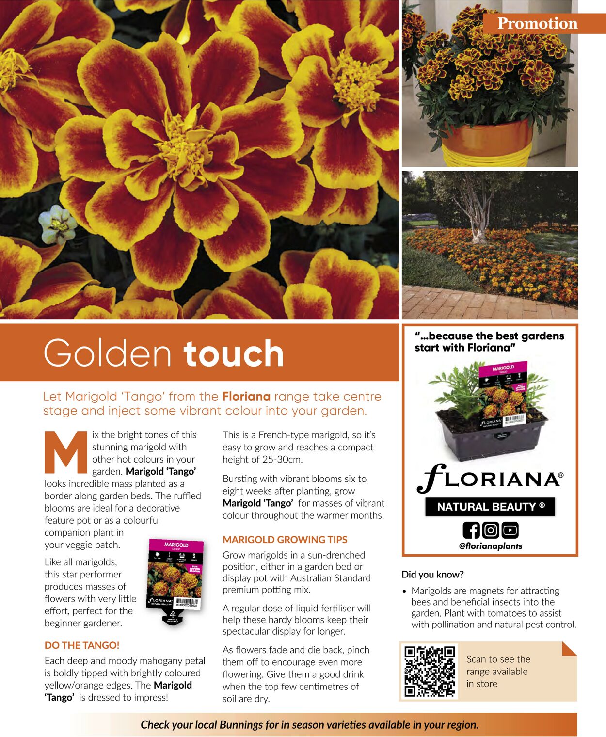 Catalogue Bunnings Warehouse 01.11.2021 - 30.11.2021