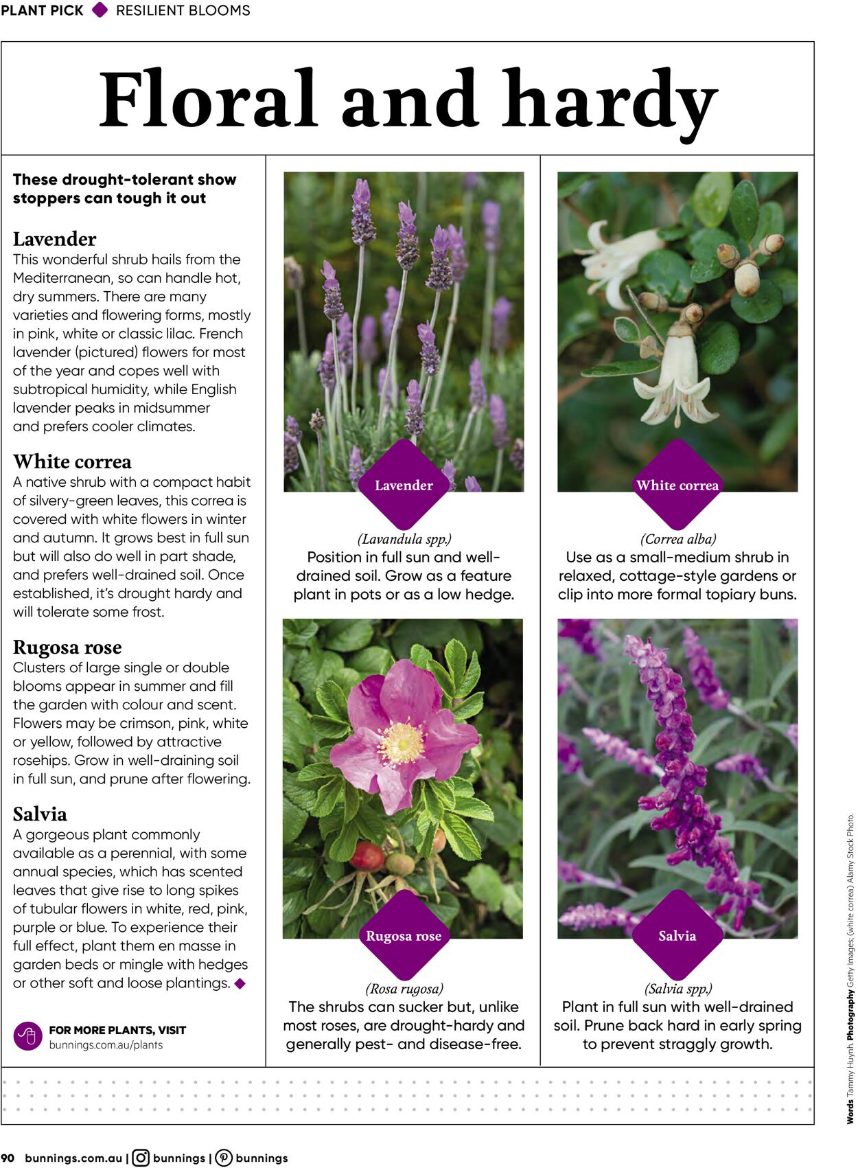 Catalogue Bunnings Warehouse 01.11.2021 - 30.11.2021