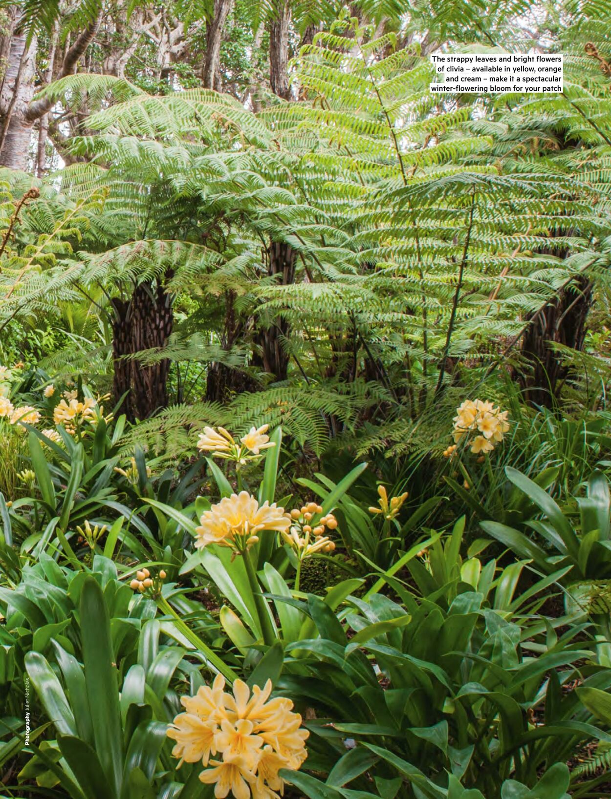 Catalogue Bunnings Warehouse 19.07.2023 - 10.11.2024