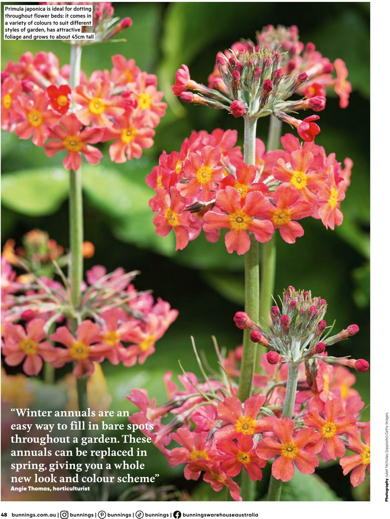 Catalogue Bunnings Warehouse 19.07.2023 - 10.11.2024