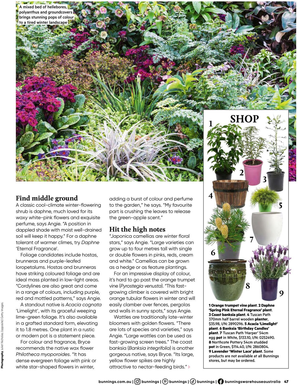 Catalogue Bunnings Warehouse 19.07.2023 - 10.11.2024