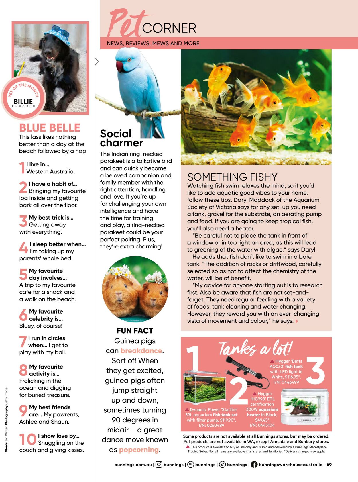 Catalogue Bunnings Warehouse 19.07.2023 - 10.11.2024