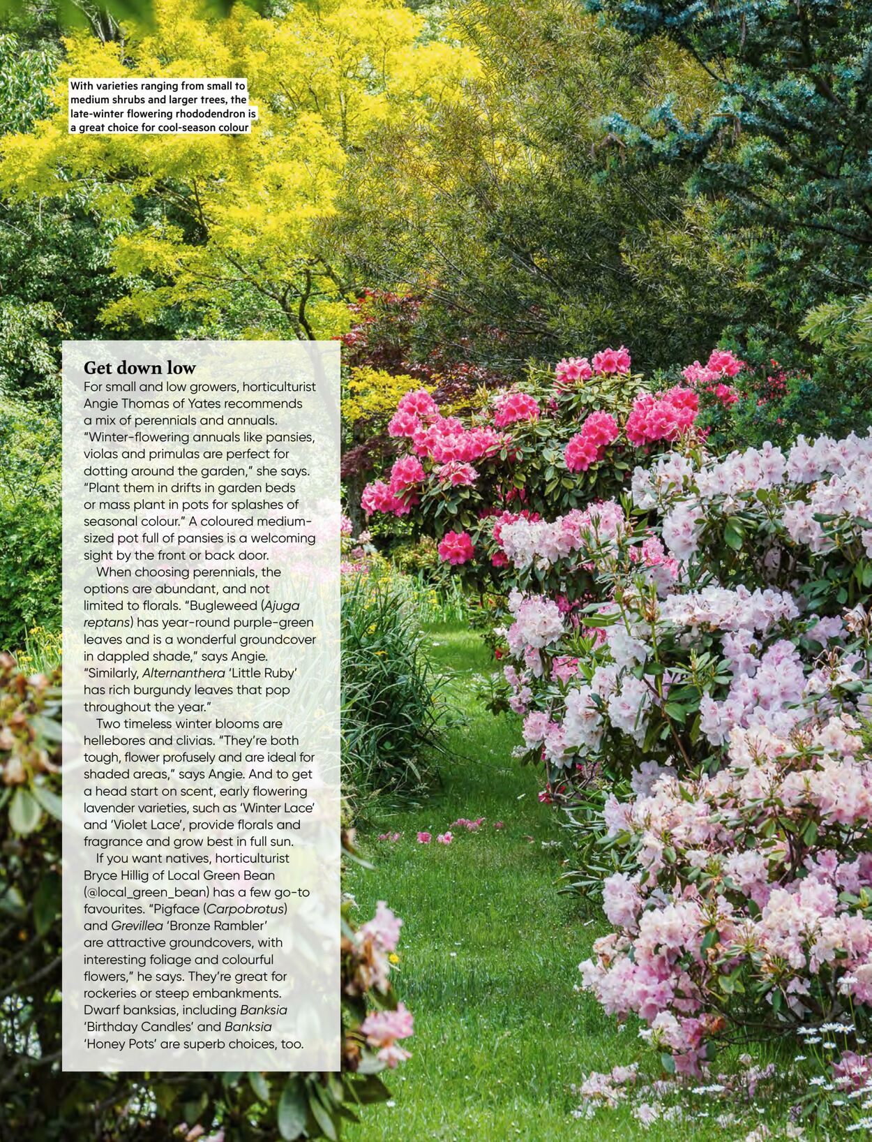 Catalogue Bunnings Warehouse 19.07.2023 - 10.11.2024