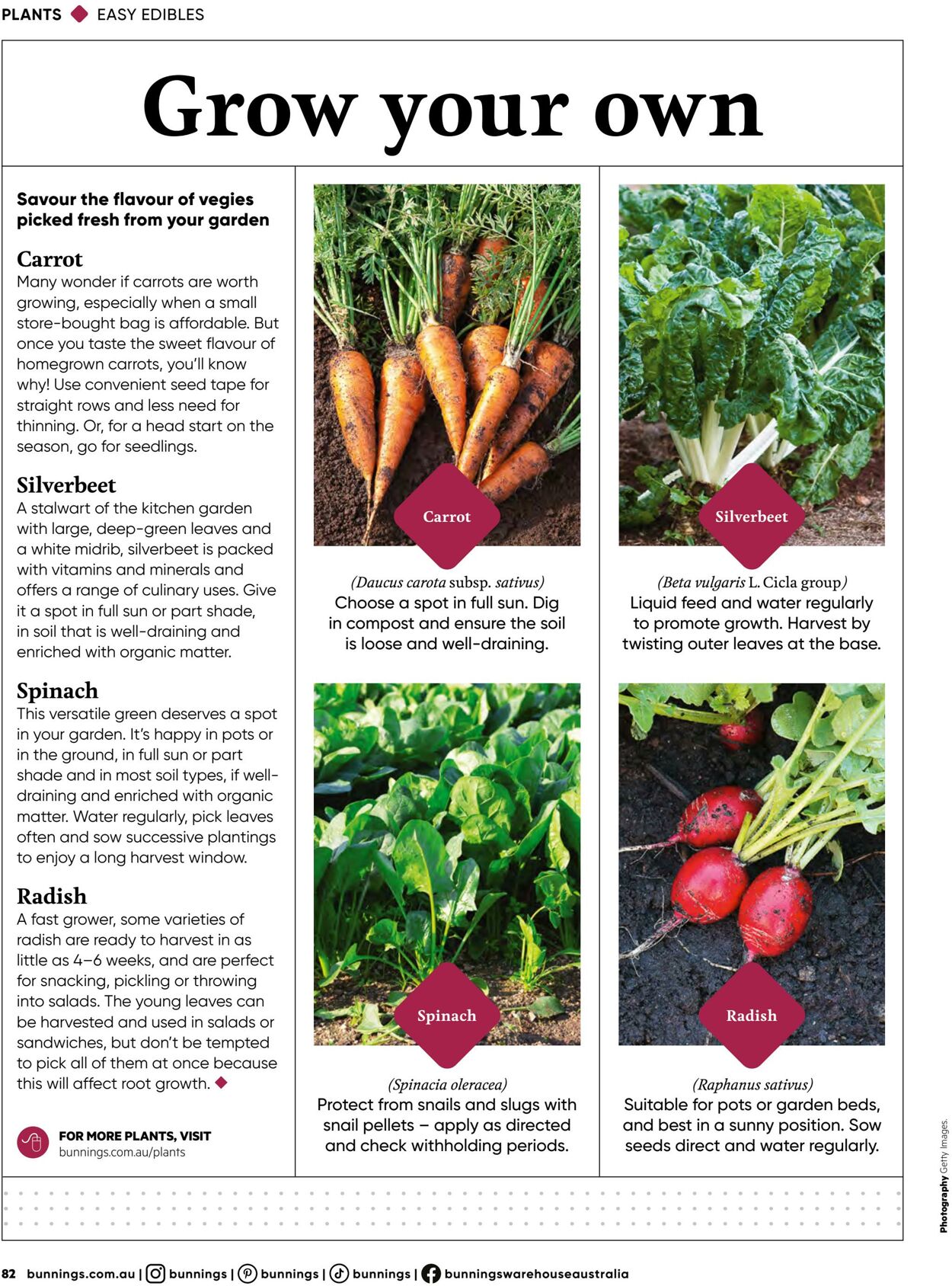 Catalogue Bunnings Warehouse 19.07.2023 - 10.11.2024