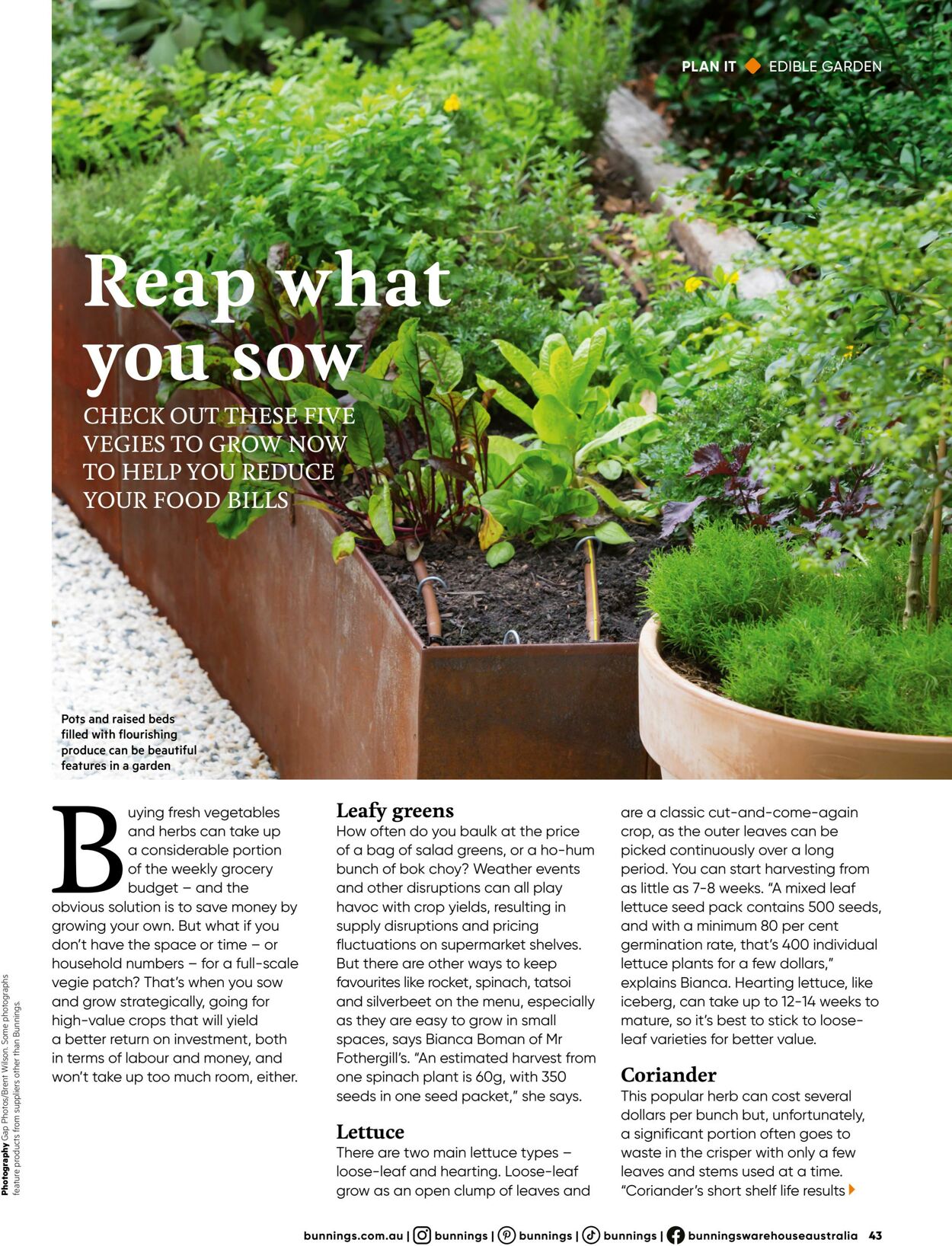 Catalogue Bunnings Warehouse 28.02.2024 - 10.11.2024