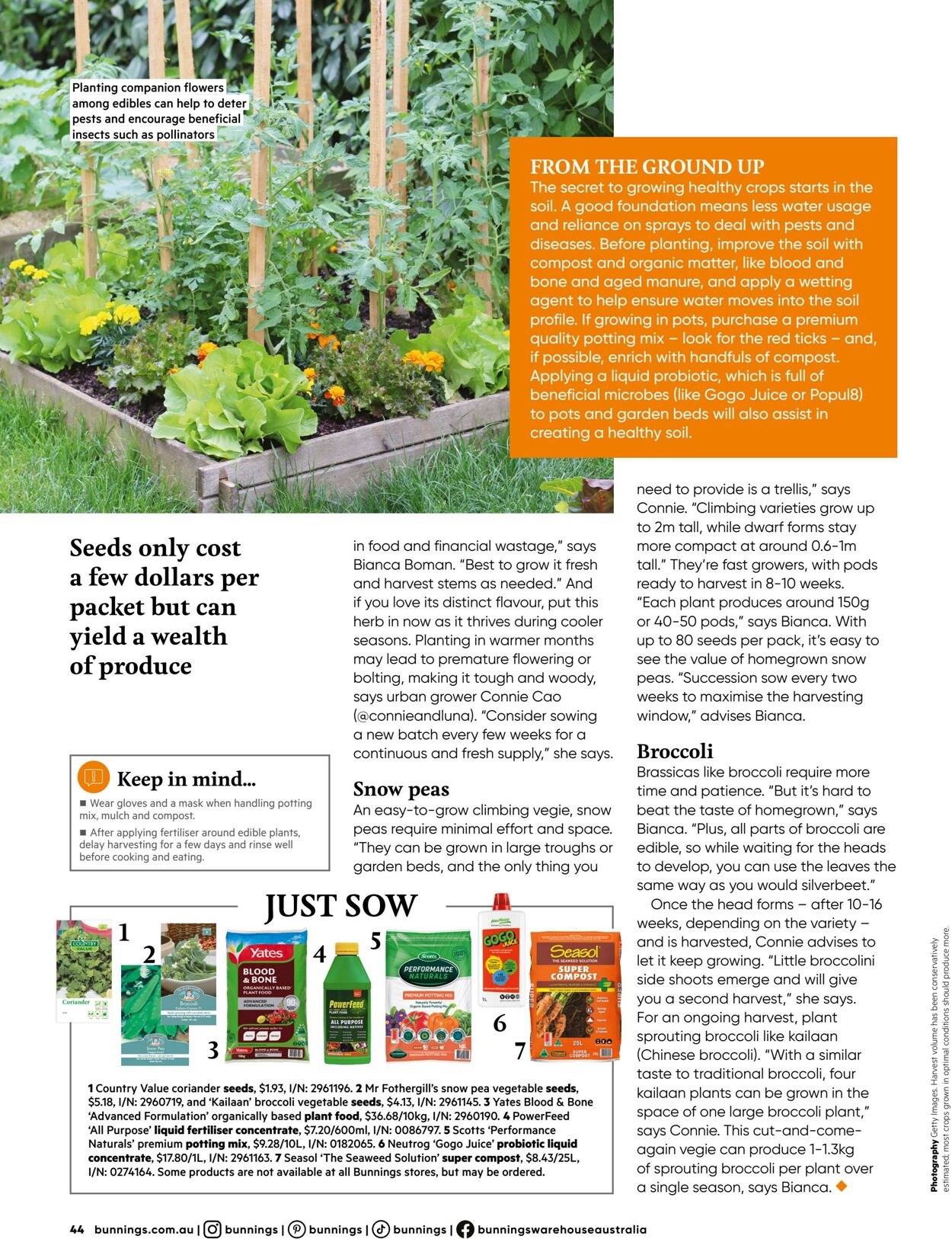 Catalogue Bunnings Warehouse 28.02.2024 - 10.11.2024