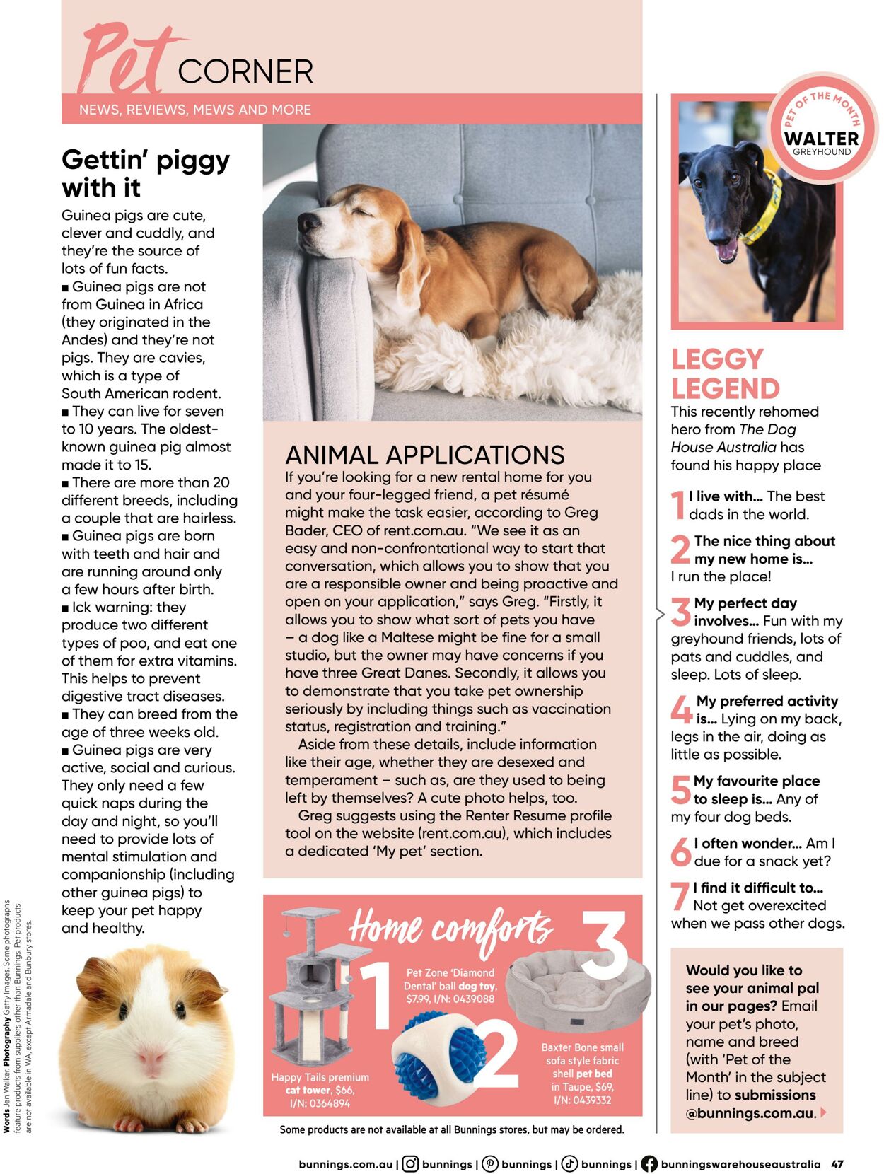 Catalogue Bunnings Warehouse 28.02.2024 - 10.11.2024