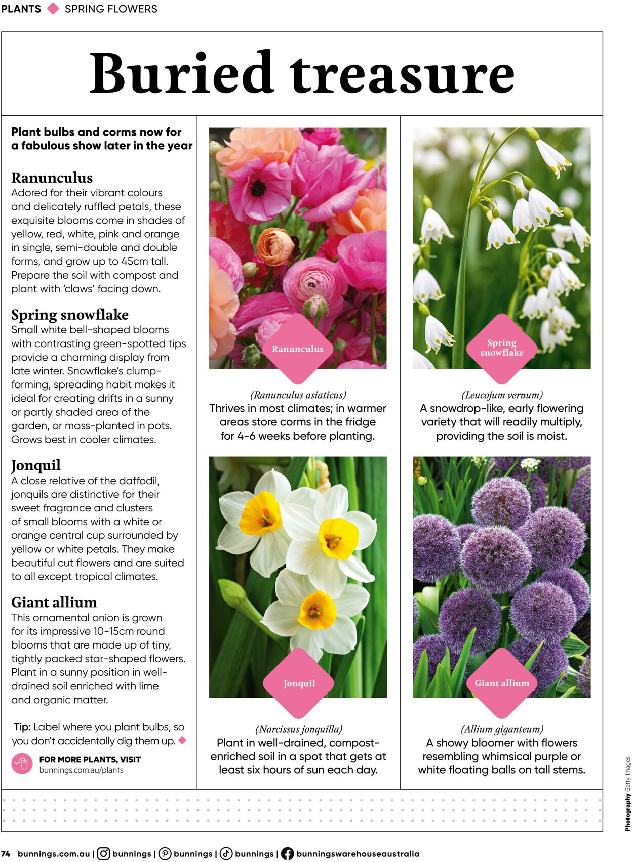 Catalogue Bunnings Warehouse 28.02.2024 - 10.11.2024