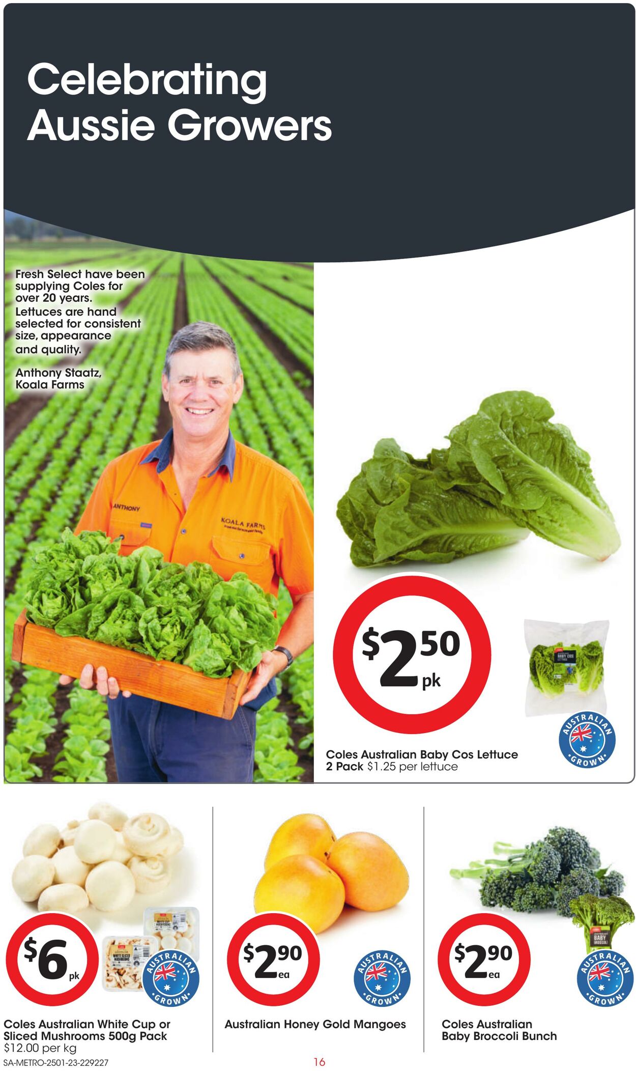 Catalogue Coles 25.01.2023 - 31.01.2023