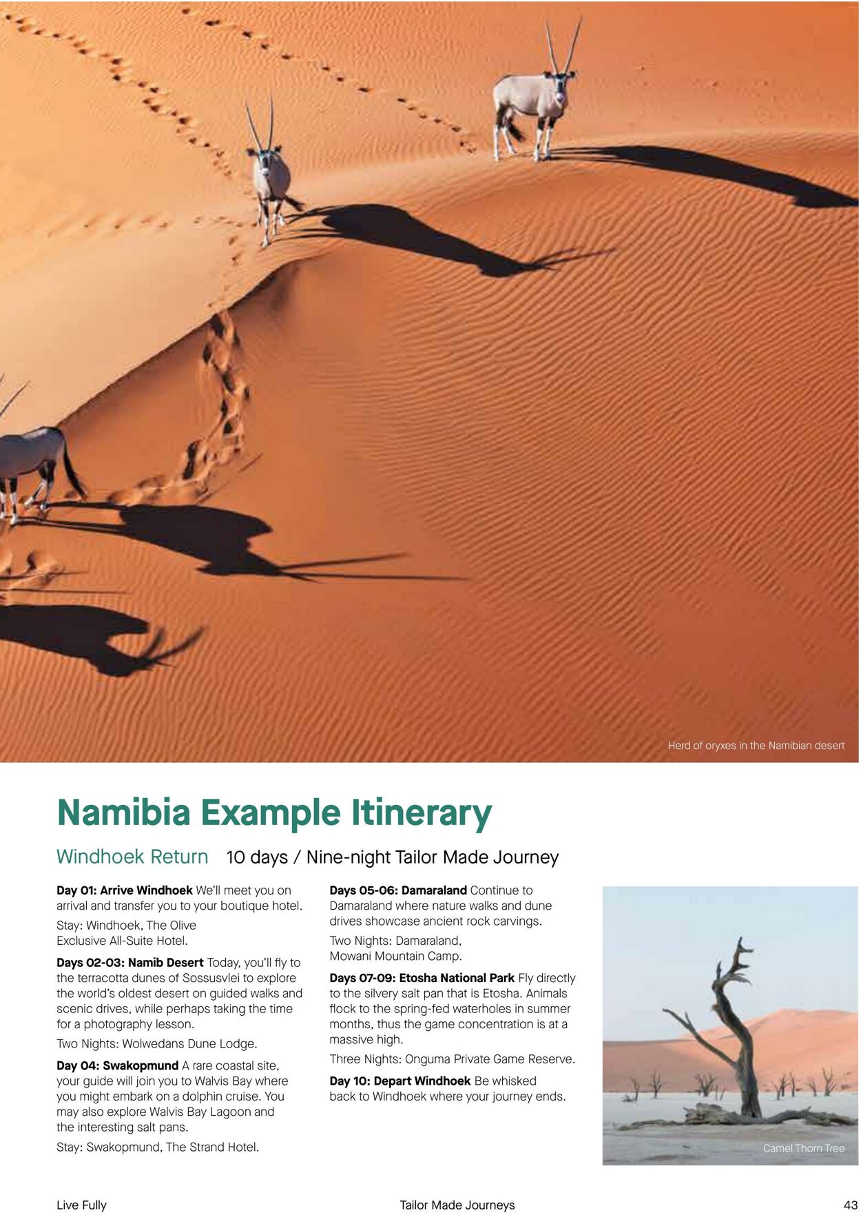 Catalogue Flight Center 18 Jul, 2023