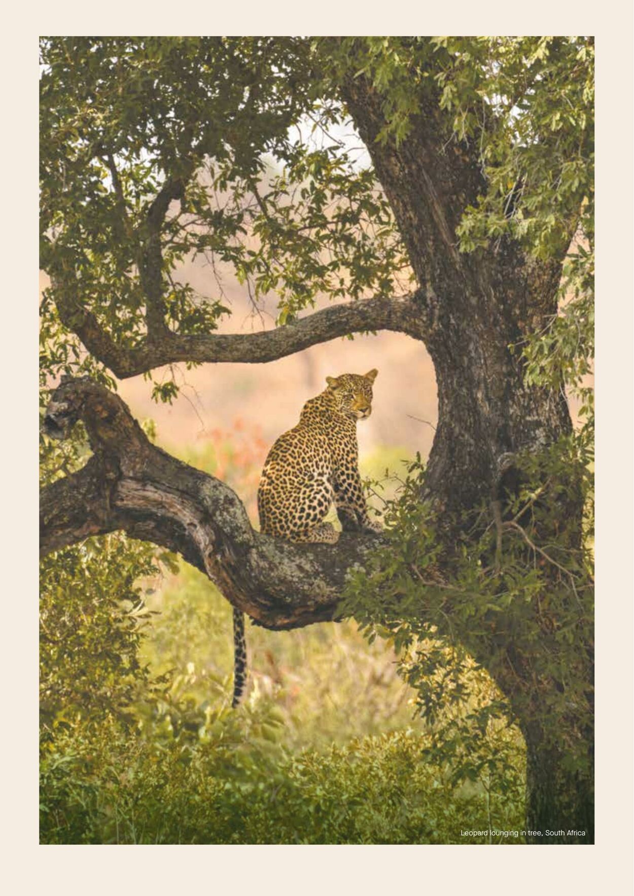 Catalogue Flight Center 18 Jul, 2023