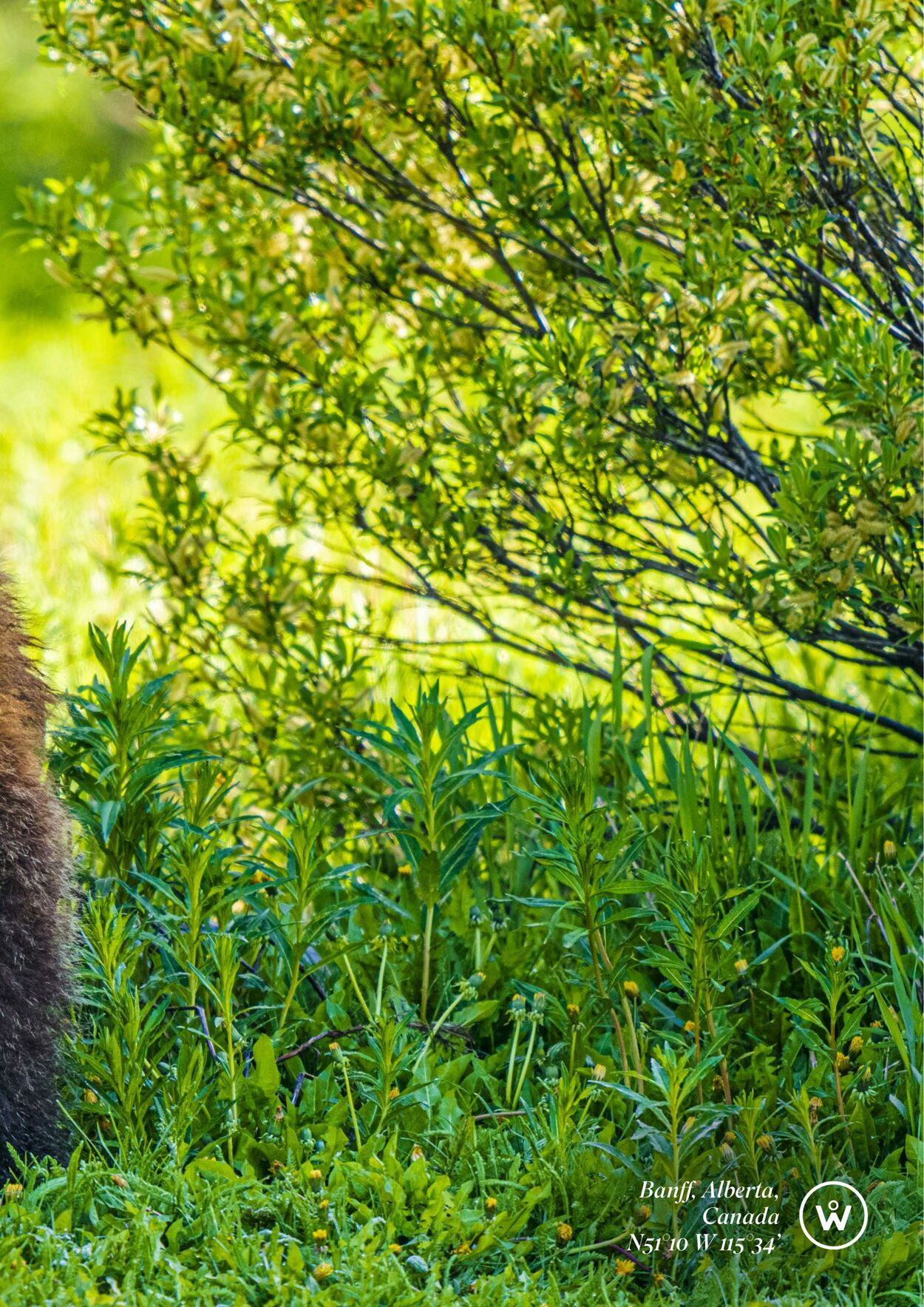 Catalogue Flight Center 27.11.2023 - 30.04.2024