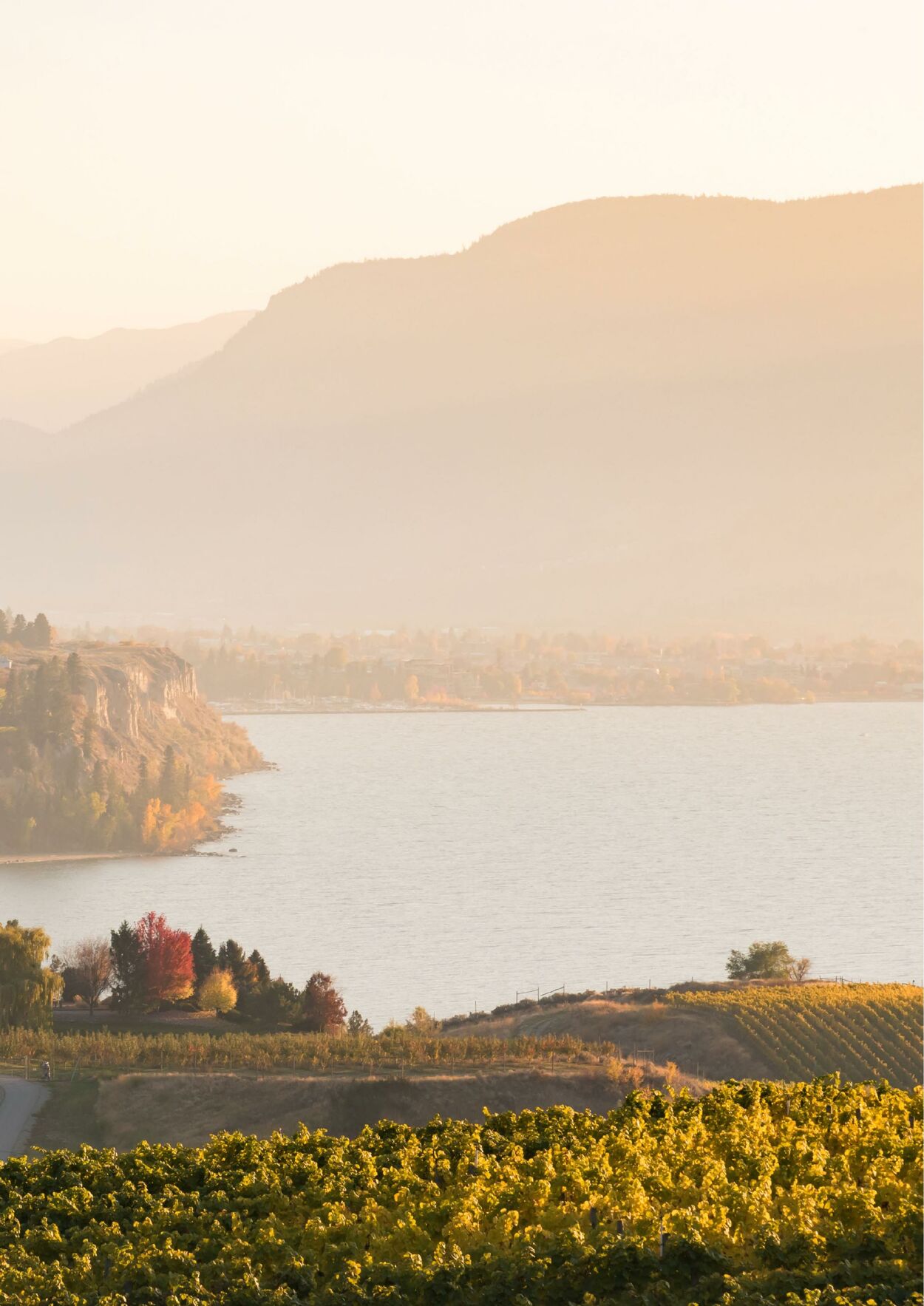 Catalogue Flight Center 27.11.2023 - 30.04.2024