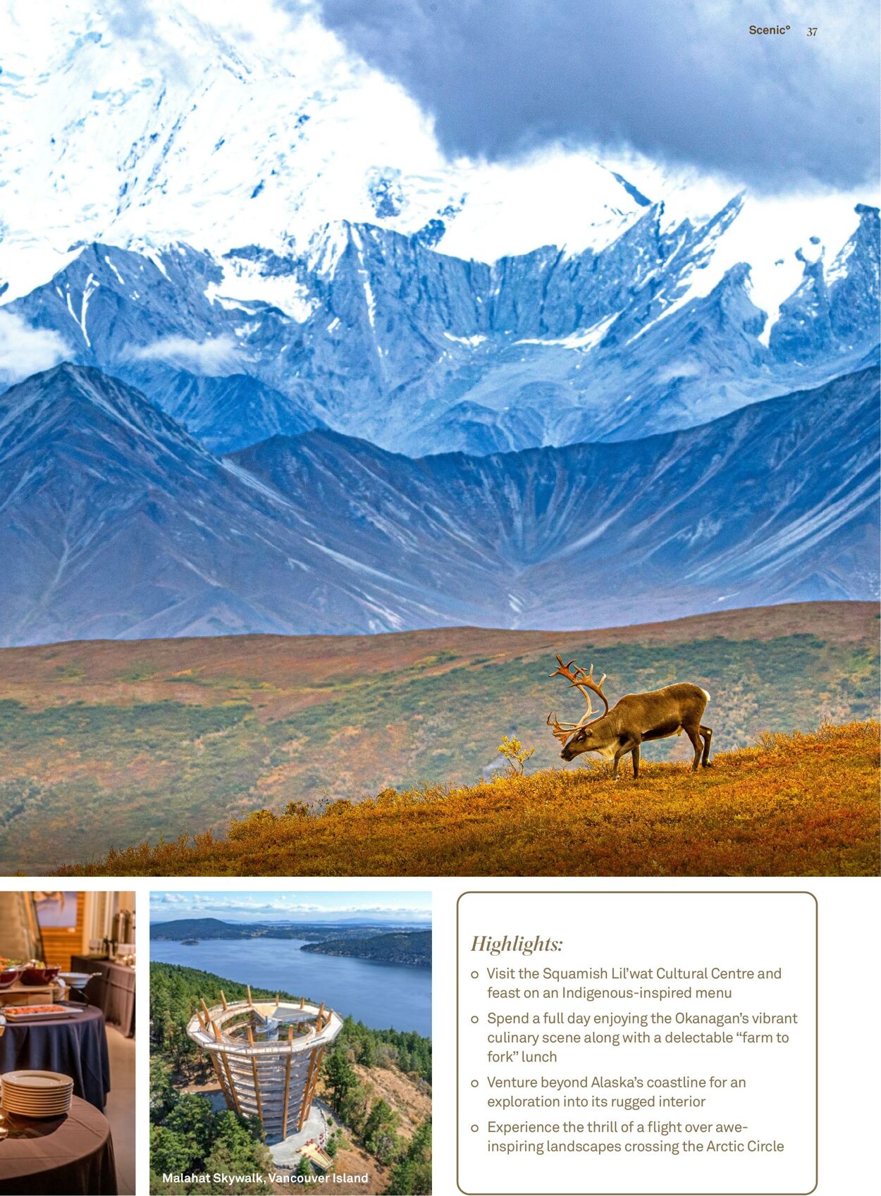 Catalogue Flight Center 27.11.2023 - 30.04.2024