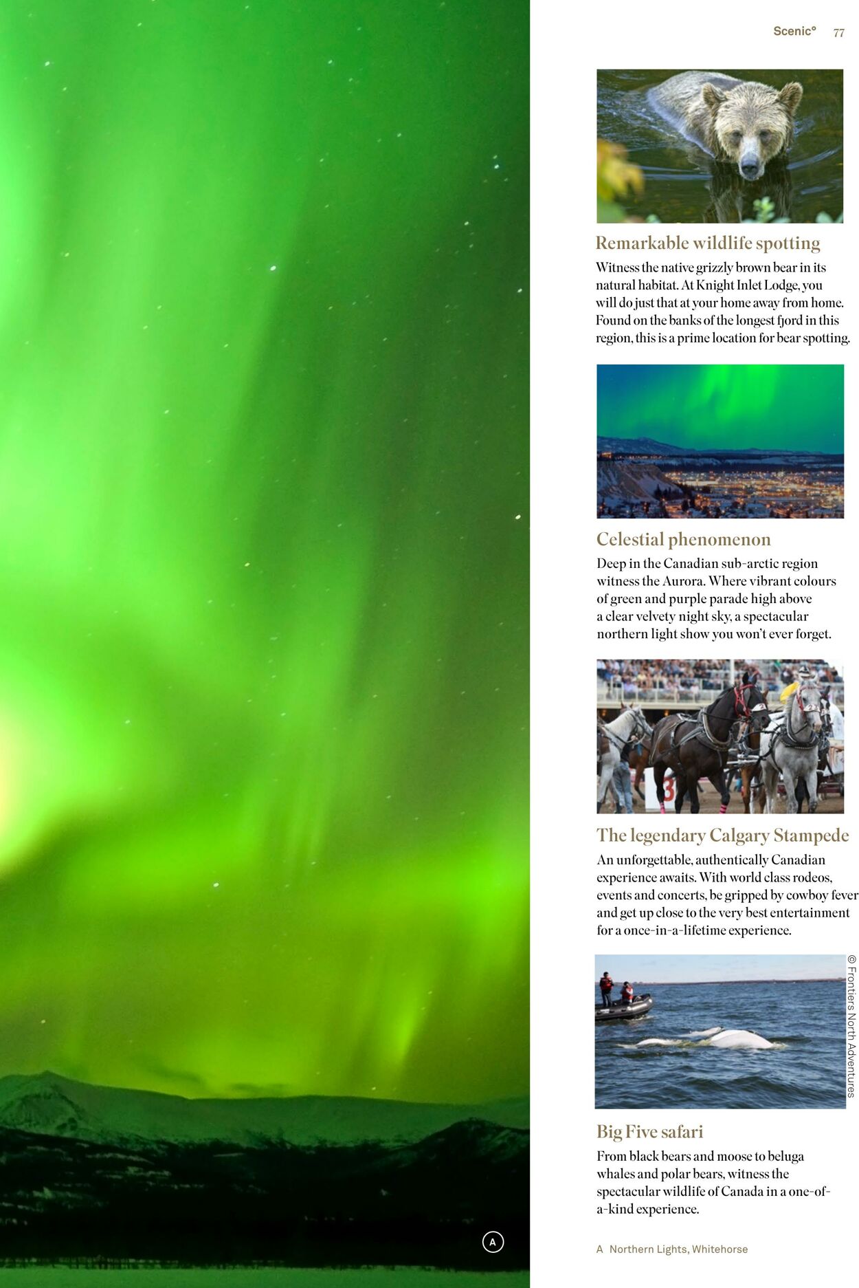 Catalogue Flight Center 27.11.2023 - 30.04.2024