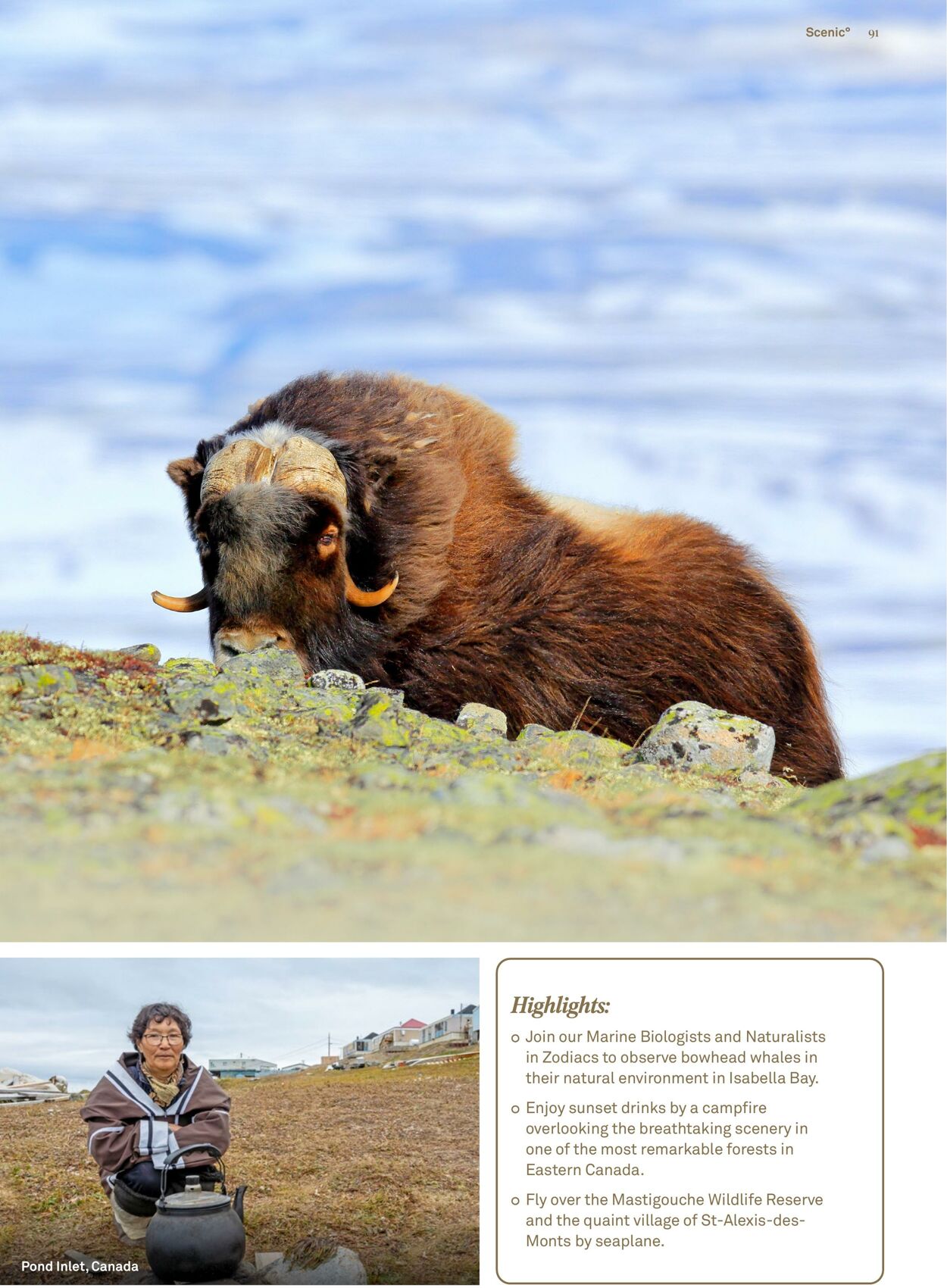 Catalogue Flight Center 27.11.2023 - 30.04.2024