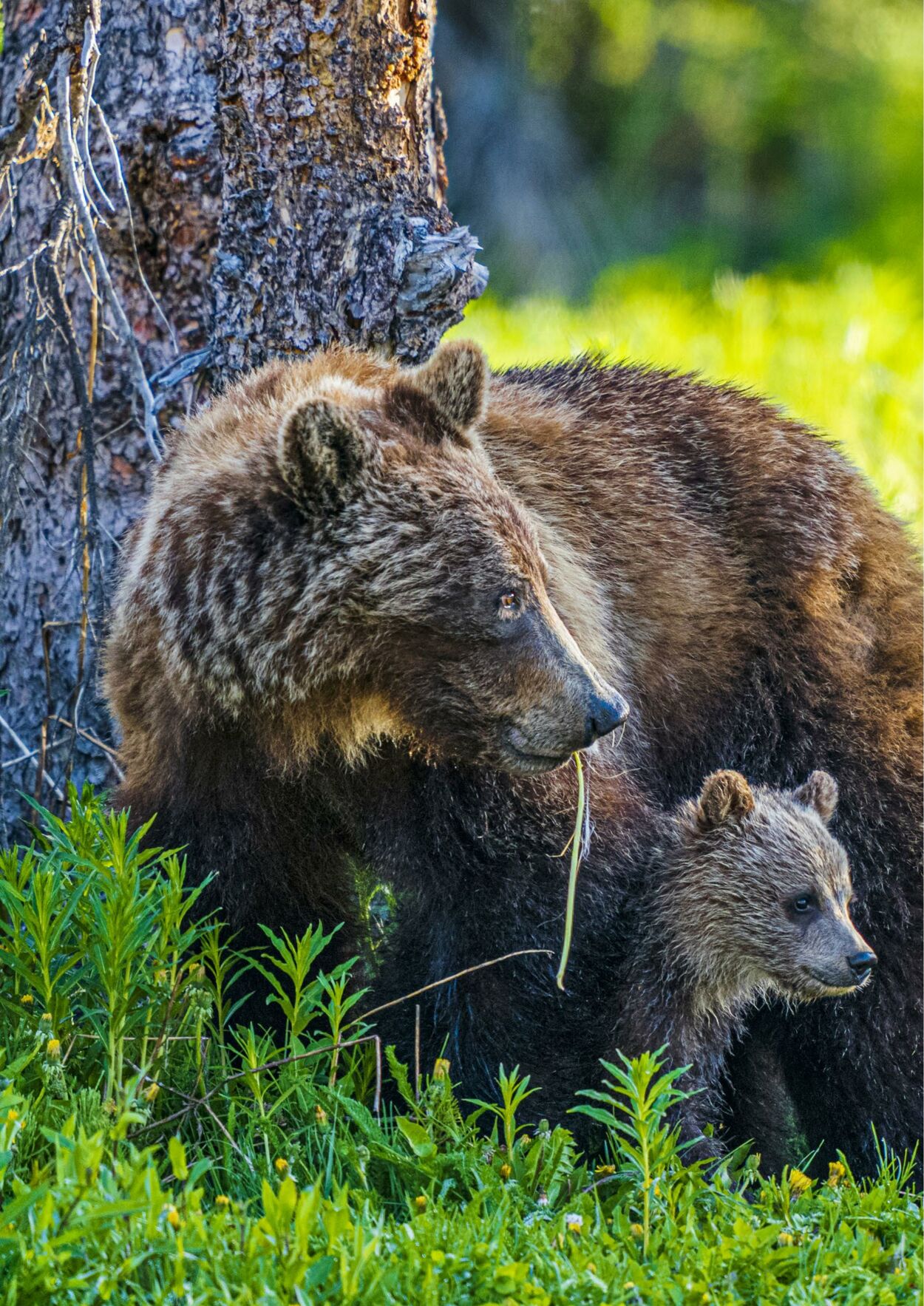 Catalogue Flight Center 27.11.2023 - 30.04.2024