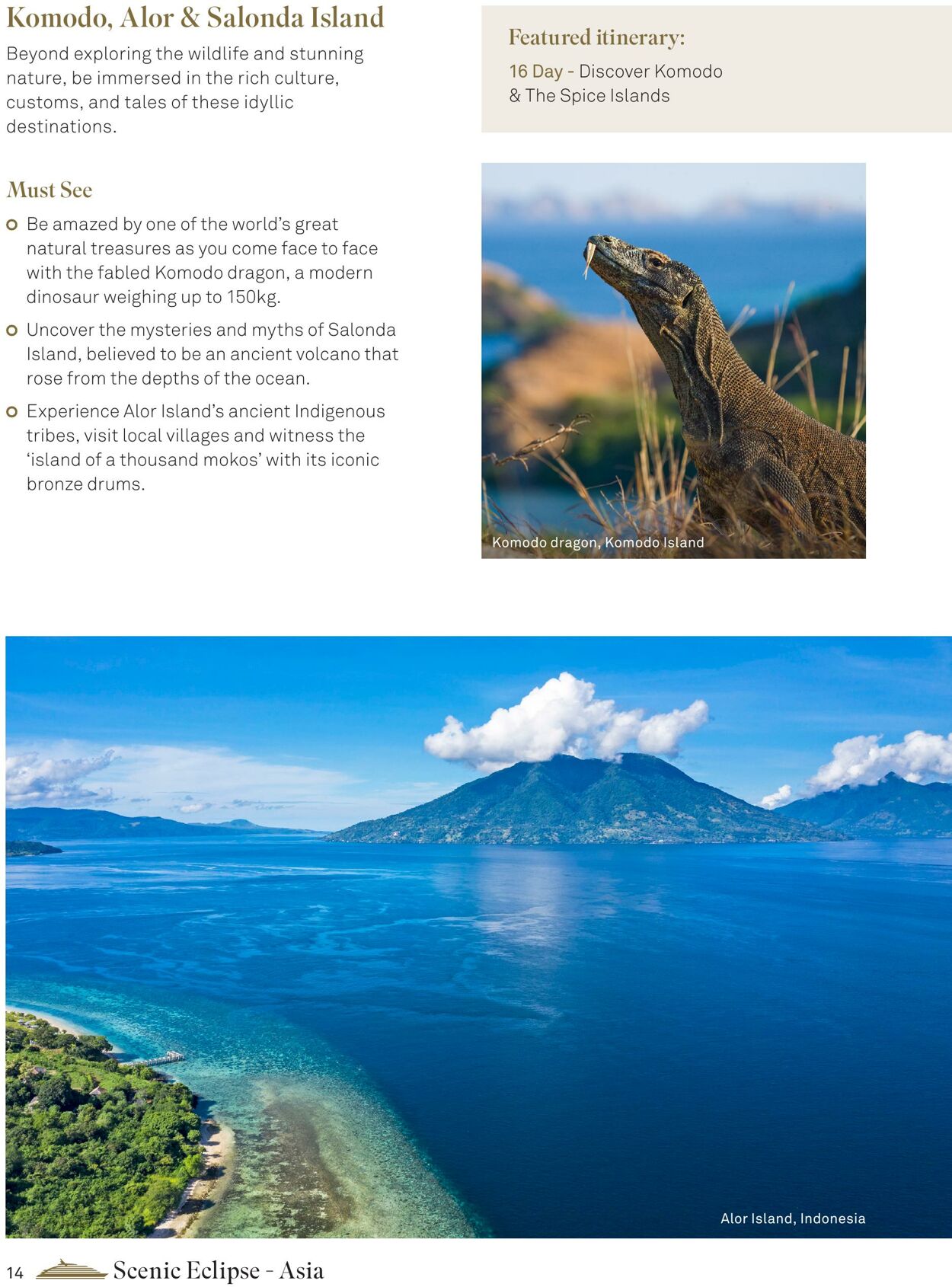 Catalogue Flight Center 01.12.2023 - 31.12.2023