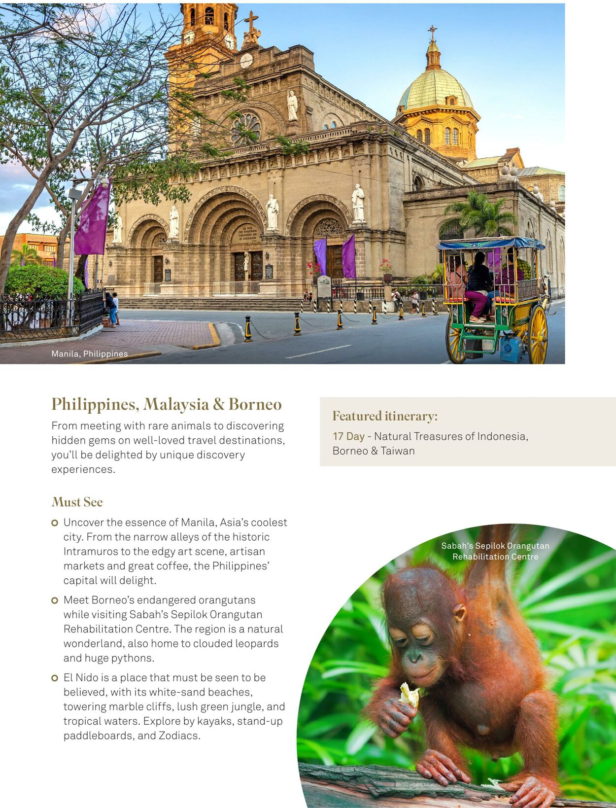 Catalogue Flight Center 01.12.2023 - 31.12.2023