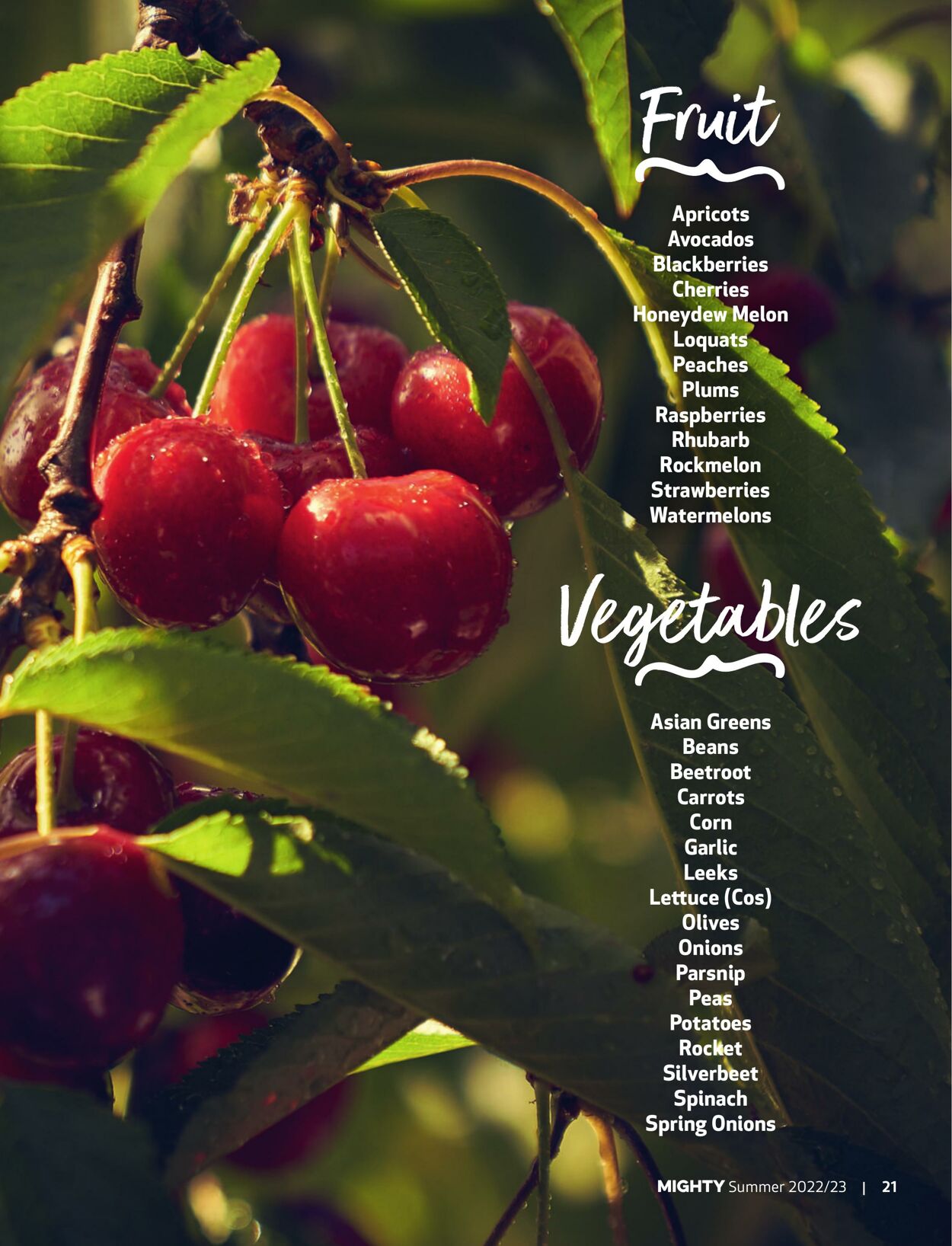 Catalogue Foodland 05.12.2022 - 31.03.2023