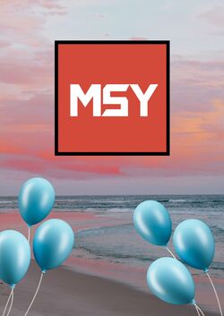 Catalogue MSY Technology 13.04.2023 - 26.04.2023