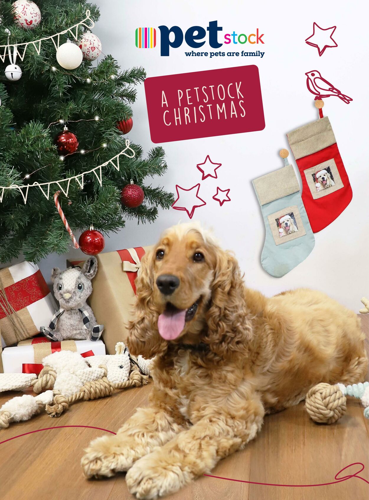 Catalogue PETstock 16.11.2021 - 24.12.2021