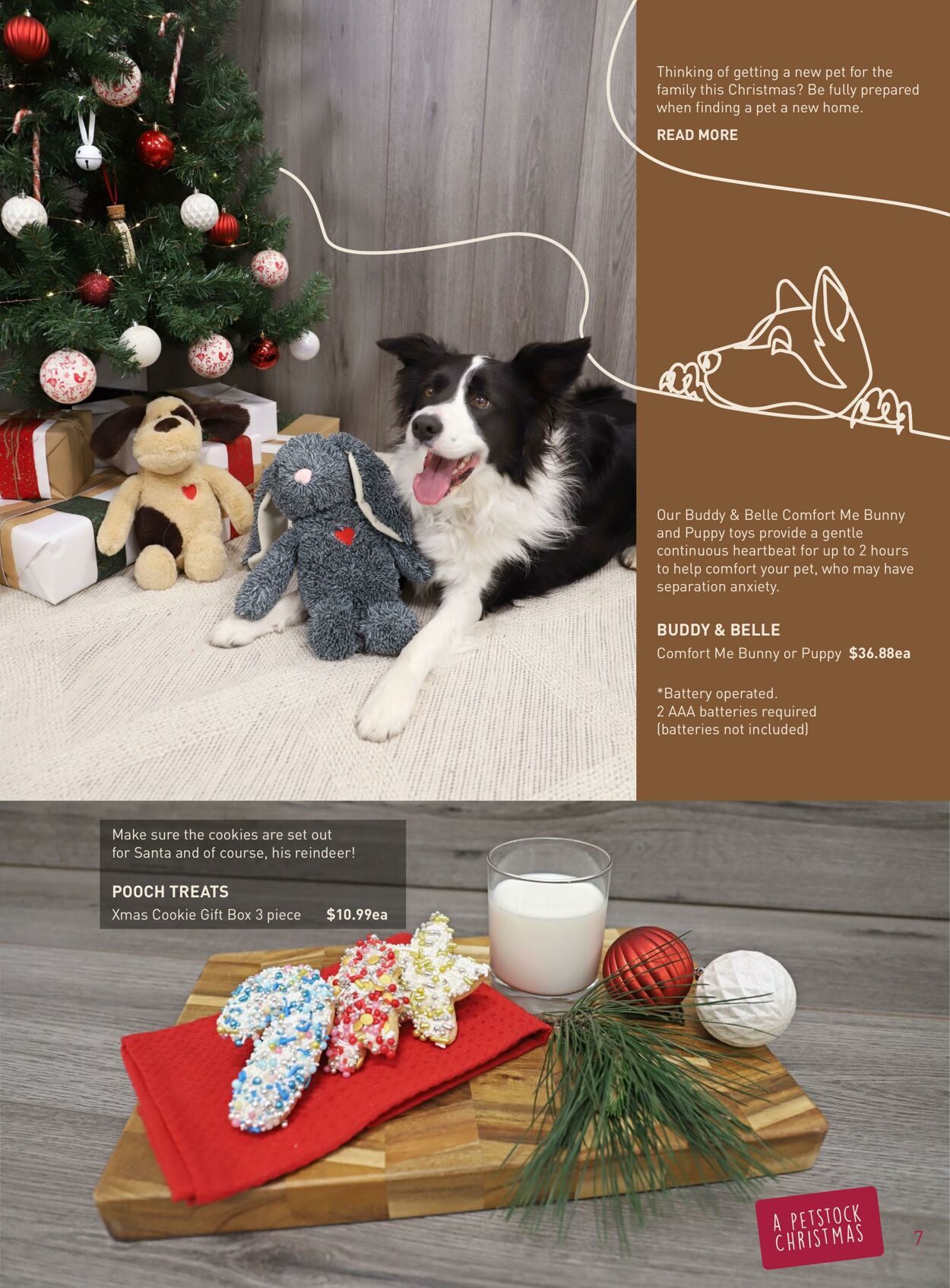 Catalogue PETstock 16.11.2021 - 24.12.2021