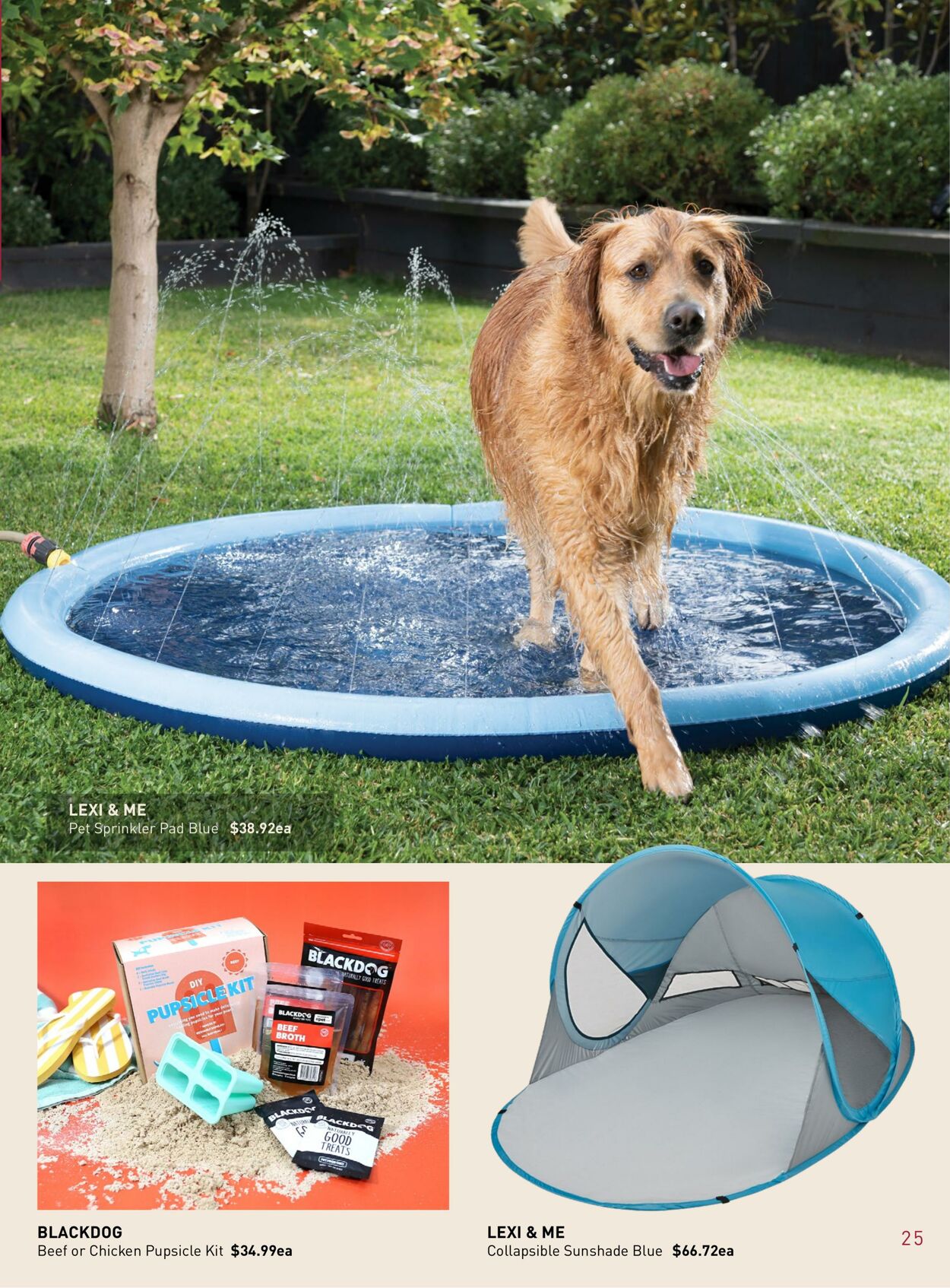 Catalogue PETstock 16.11.2021 - 24.12.2021