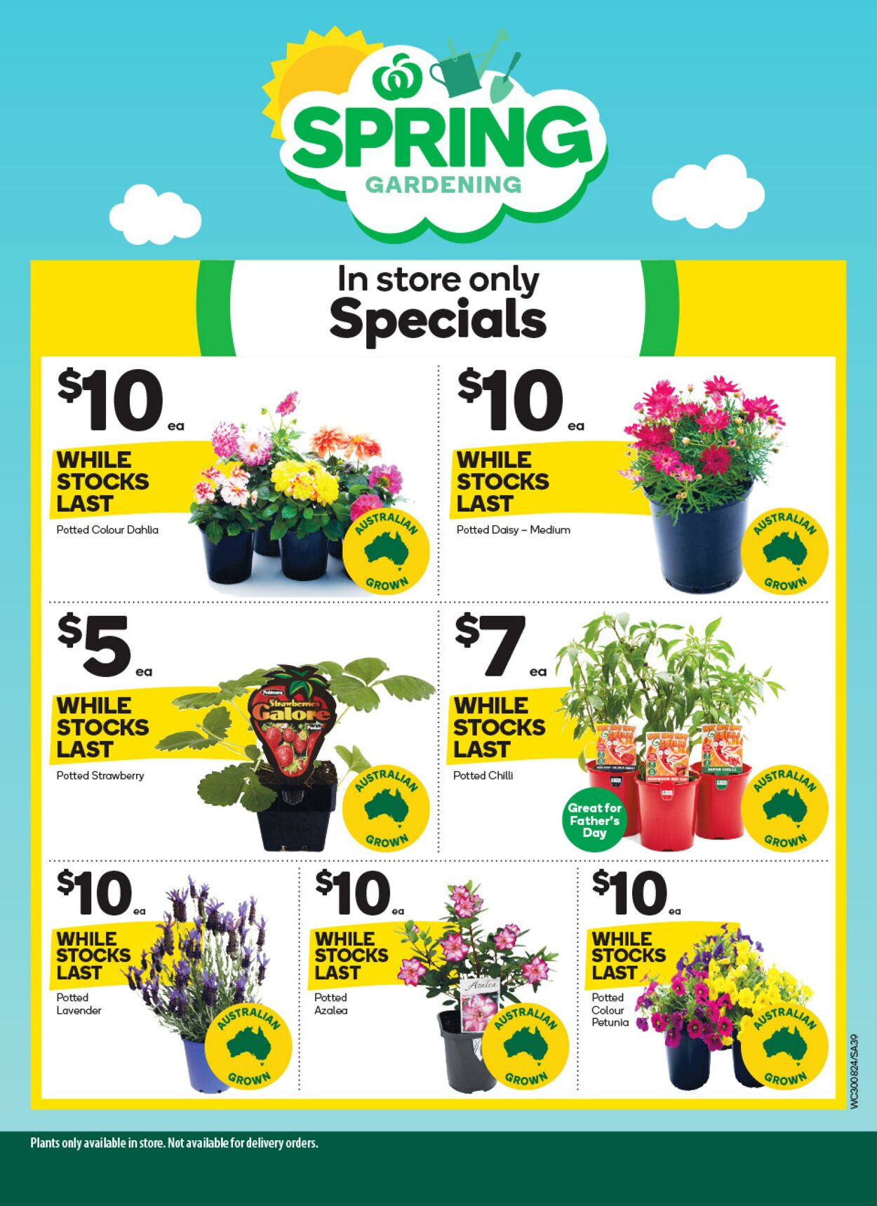 Catalogue Woolworths 30.08.2023 - 05.09.2023